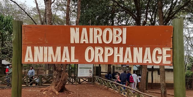 Nairobi Animal Orphanage