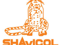 Shavicol Safaris