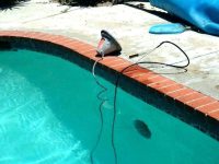 How to Safely Replace a Pool Light