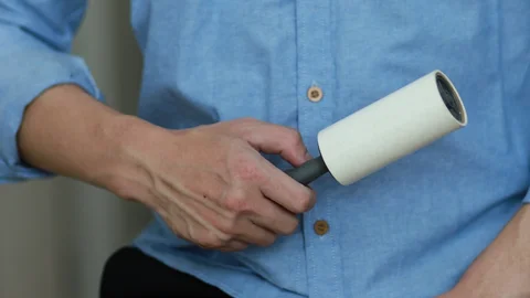 dog hair from clothes