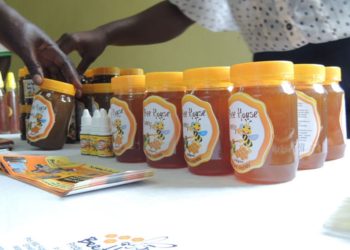 How to Apply for a Bee Products Export Permit in Uganda