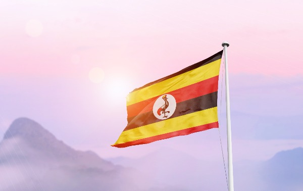 How to Apply for a Bookmaker License in Uganda