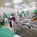 How to Apply for a Fish Breeding Permit in Uganda