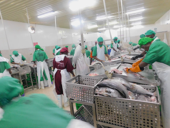 How to Apply for a Fish Breeding Permit in Uganda