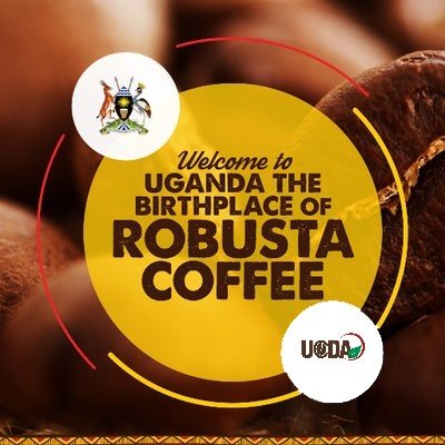 How to Get a Certificate of Registration for Internal Marketing of Coffee in Uganda