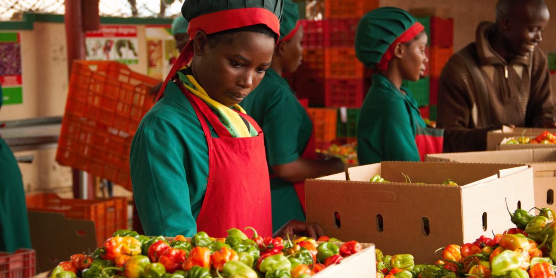 How to Register as an Agricultural Exporter in Uganda