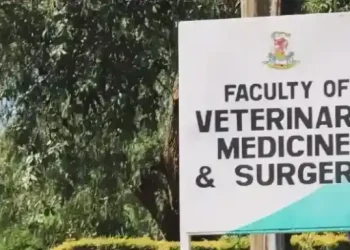 Approved Institutions Offering Veterinary Medicine Courses in Kenya