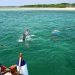 Kiunga Marine National Reserve