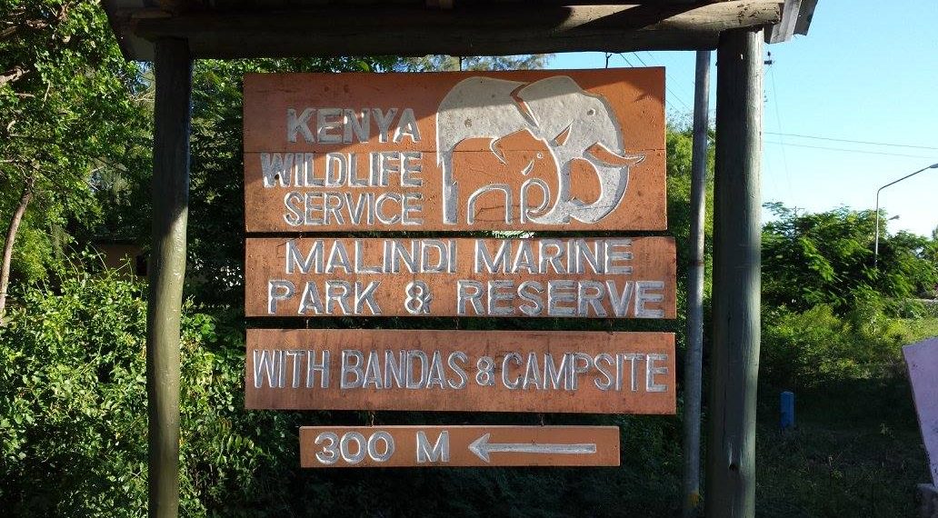 Malindi Marine Park Entrance Fees