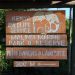 Malindi Marine Park Entrance Fees
