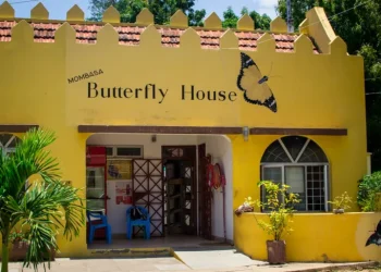 Mombasa Butterfly House Entrance Fees and Visitor Information