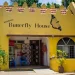 Mombasa Butterfly House Entrance Fees and Visitor Information