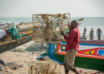 How to Apply for a Fishing License in The Gambia