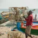 How to Apply for a Fishing License in The Gambia