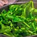 How to Cook Morogo: A Complete Guide to Southern Africa’s Wild Greens