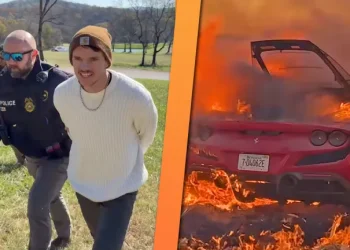 Cody Detwiler tax evasion Ferrari destruction