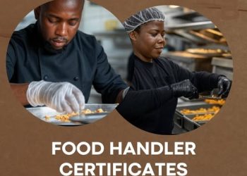 How to Apply for a Food Handler Certificate for Hospitality Premises in Ghana