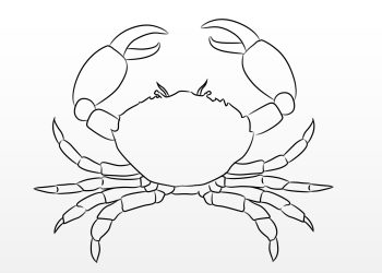 How to Draw a Crab