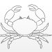 How to Draw a Crab
