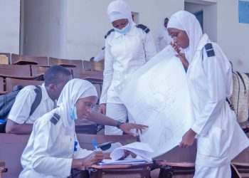 How to Apply for Registration with the Nursing & Midwives Council in Gambia
