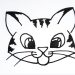 How To Draw A Cat Face
