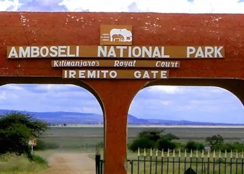 Kenya Wildlife Service Park Fees