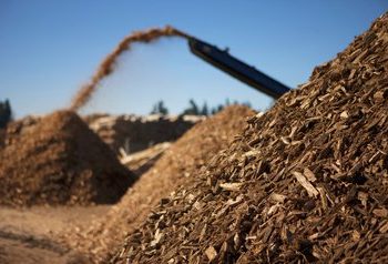 NewYork GreenCloud to Transform Biomass Facility into Carbon-Negative AI Data Center