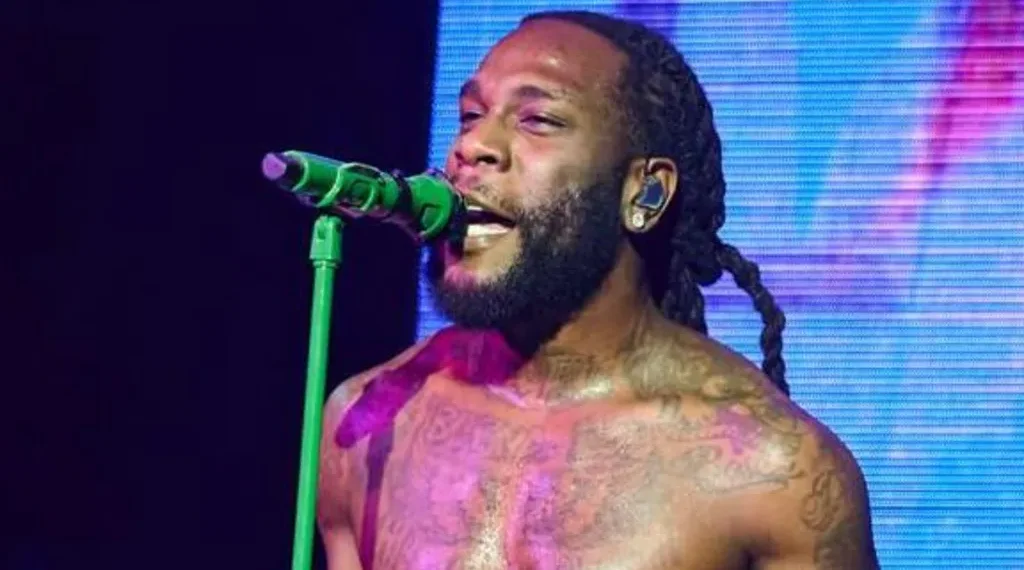 Nigerian stars dominate All Africa Music Awards
