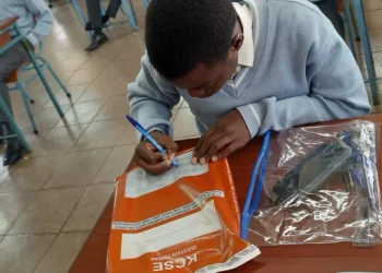 2025 KCSE Results Portal Activated: What You Need to Know