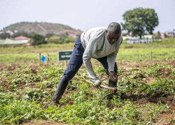 Farmer Based Organization Fund Application Guide