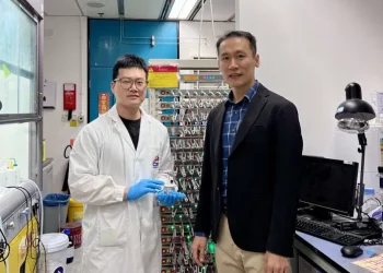 The Potential of Calcium-Ion Batteries as a Sustainable Alternative