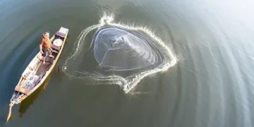 How to Throw a Cast Net Properly