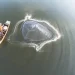 How to Throw a Cast Net Properly