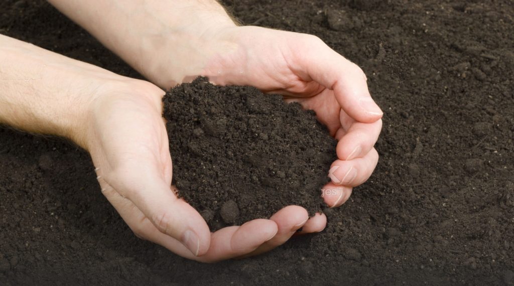 How to Improve Black Cotton Soil for Farming