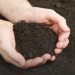 How to Improve Black Cotton Soil for Farming