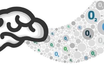 How to Improve Oxygen in the Brain