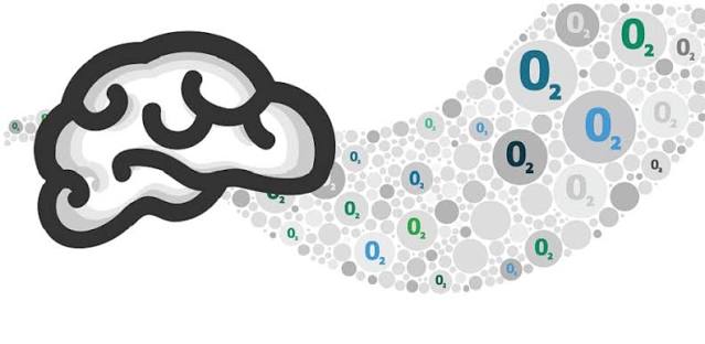 How to Improve Oxygen in the Brain