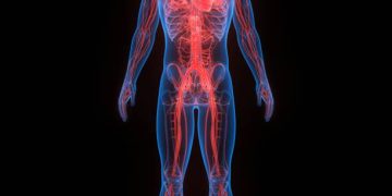 How to Improve Blood Circulation Naturally and Safely