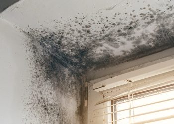 How to Avoid Dampness on Walls