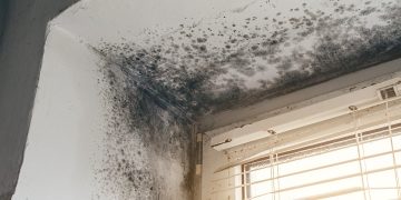 How to Avoid Dampness on Walls