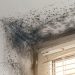 How to Avoid Dampness on Walls